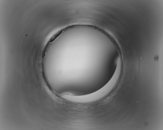 X0000113851085200910151206