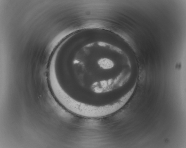 X0000113851086200910151206