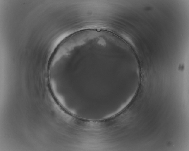 X0000113851087200910151206