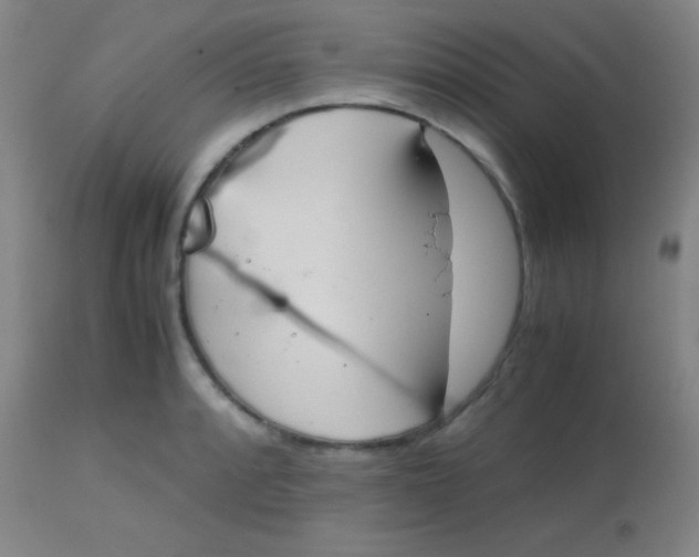 X0000113851088200910151206