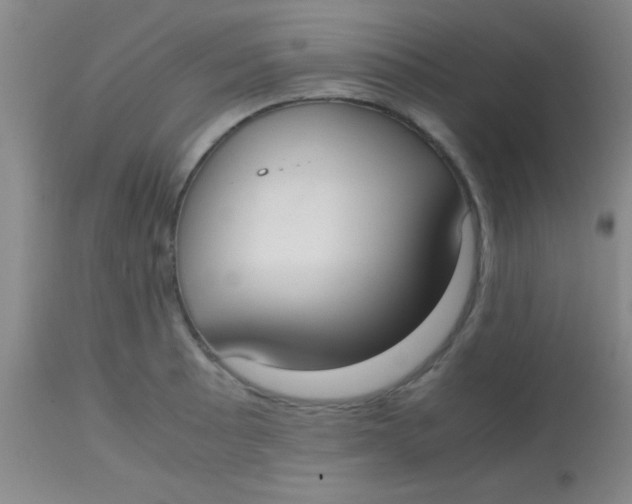 X0000113851089200910151206