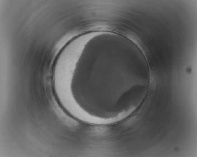 X0000113851090200910151206