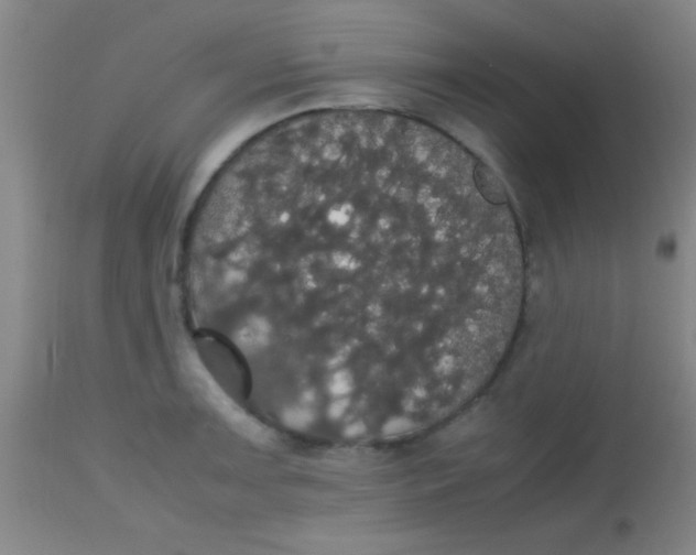 X0000113851091200910151206