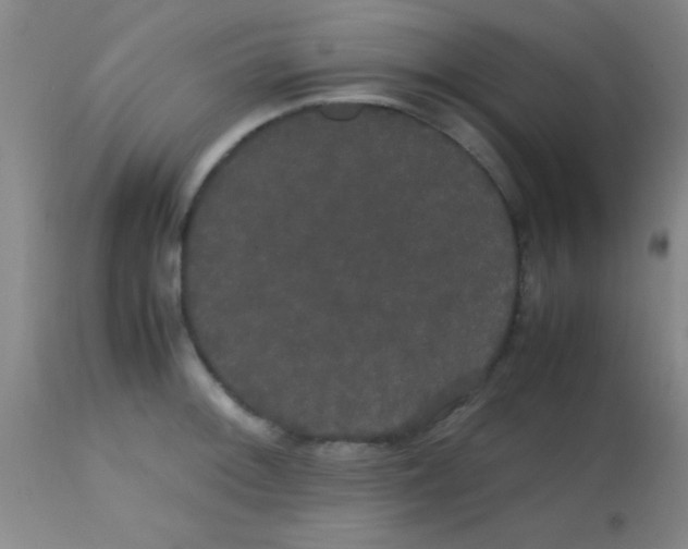 X0000113851092200910151206