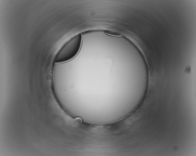 X0000113851093200910151206