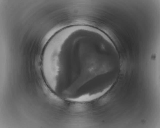 X0000113851094200910151206