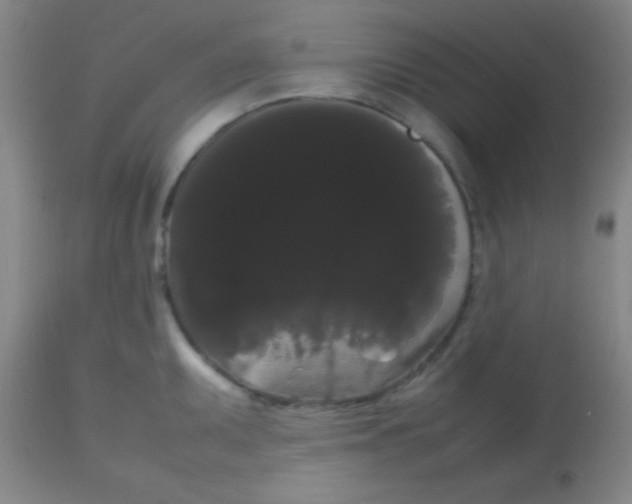 X0000113851095200910151206