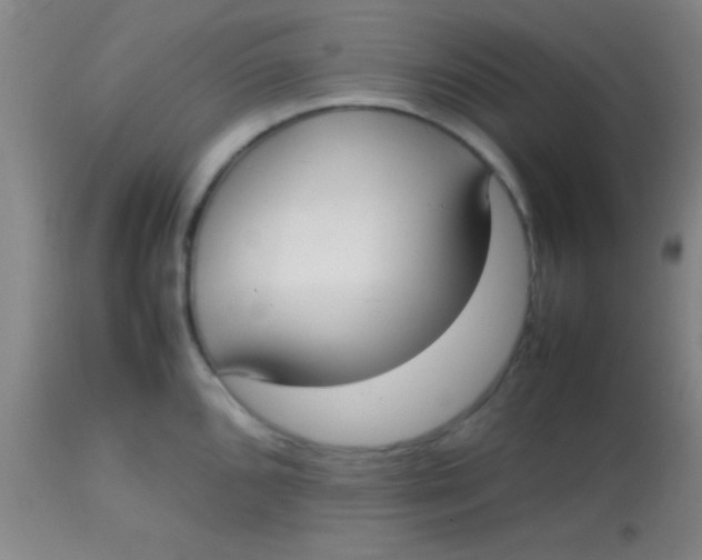 X0000113851096200910151206