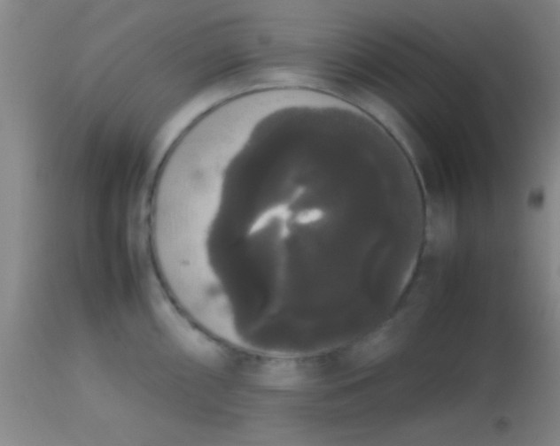 X0000113851098200910151206