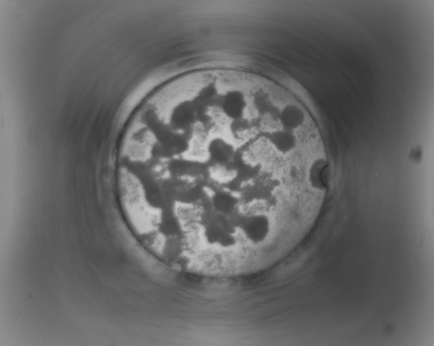 X0000113851099200910151206