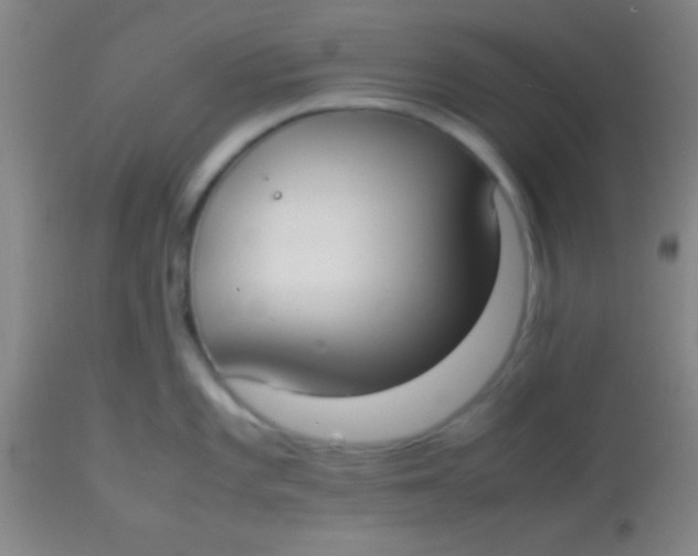 X0000113851101200910151206