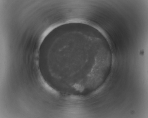 X0000113851102200910151206