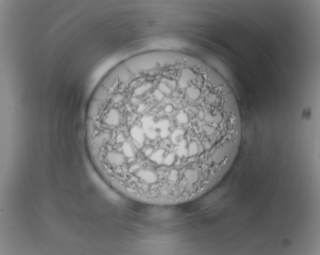 X0000113851103200910151206