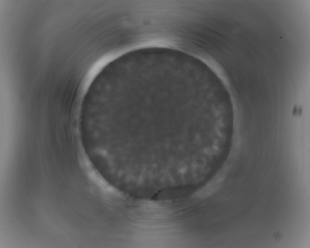 X0000113851104200910151206