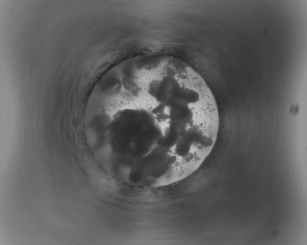 X0000113851105200910151205