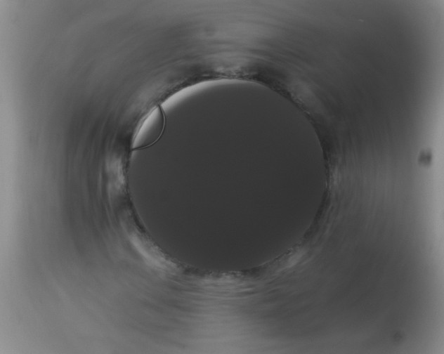 X0000113851106200910151205