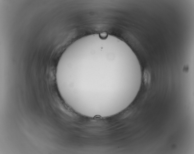 X0000113851107200910151205