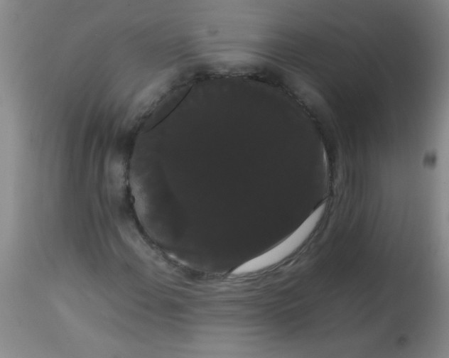 X0000113851108200910151205