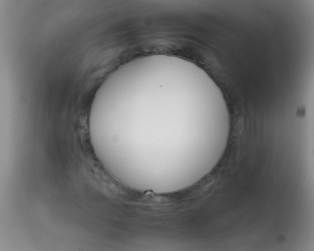 X0000113851109200910151205