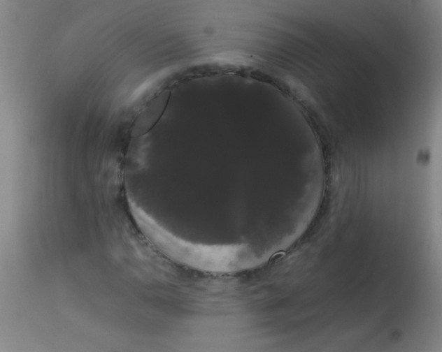 X0000113851110200910151205