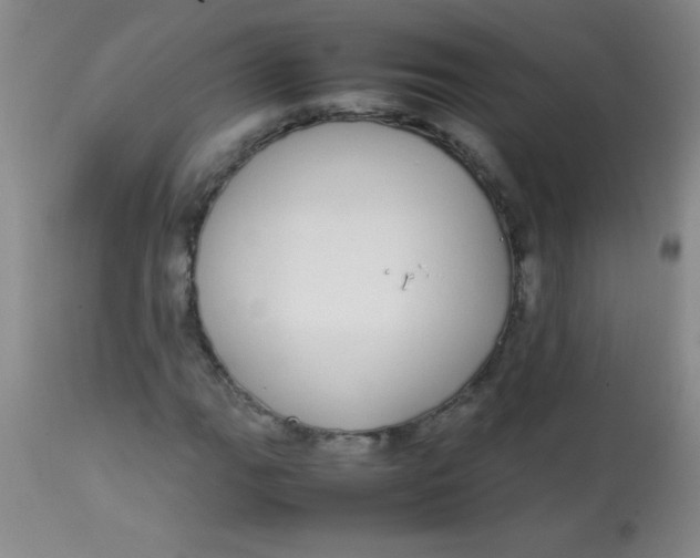 X0000113851111200910151205