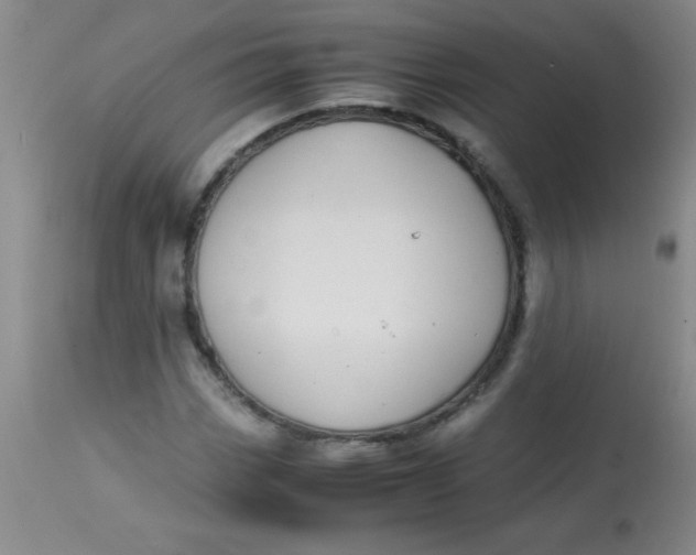 X0000113851113200910151205