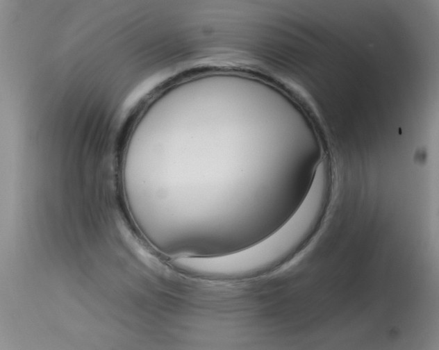 X0000113851114200910151205