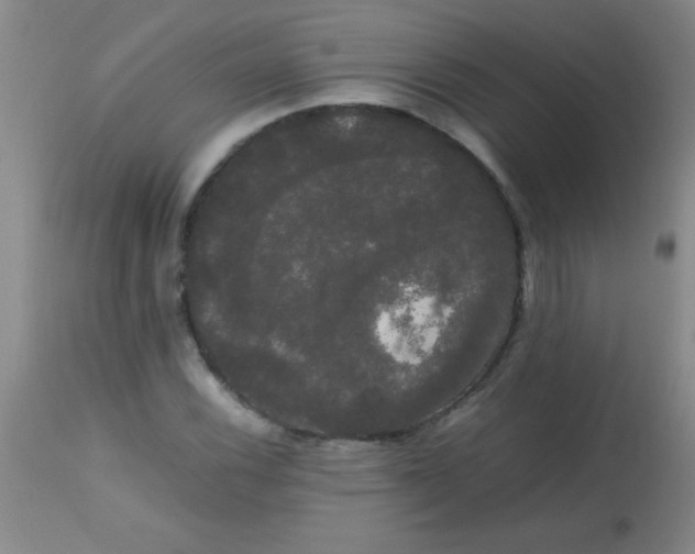 X0000113851116200910151205