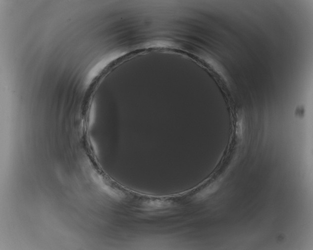 X0000113851117200910151205