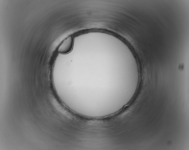 X0000113851118200910151205