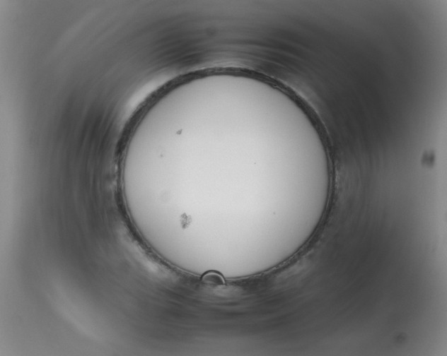 X0000113851119200910151205