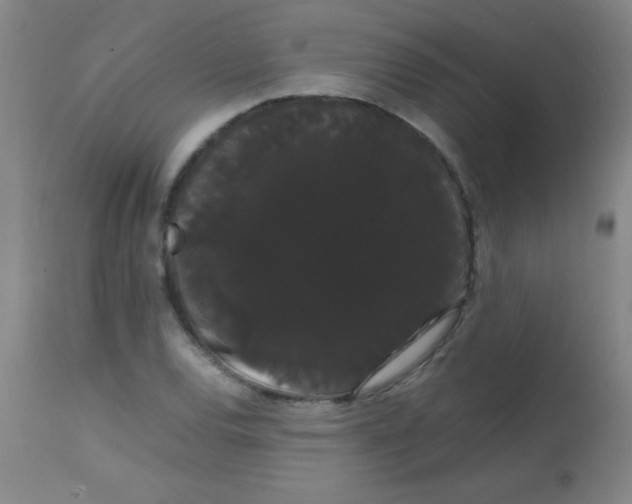 X0000113851120200910151205