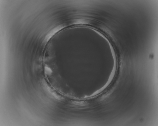 X0000113851121200910151205