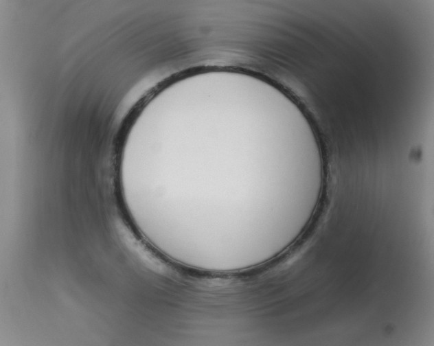 X0000113851122200910151205