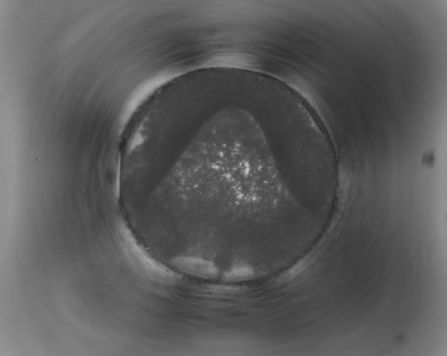 X0000113851123200910151205