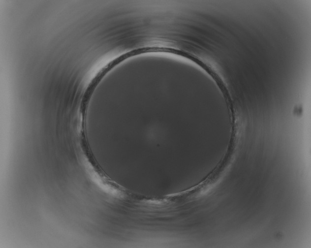 X0000113851125200910151205