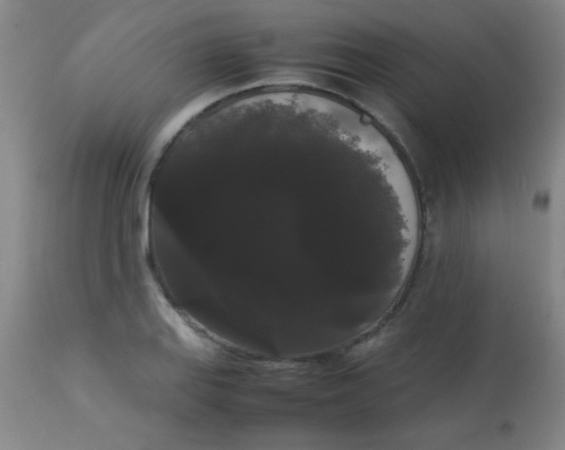 X0000113851127200910151205