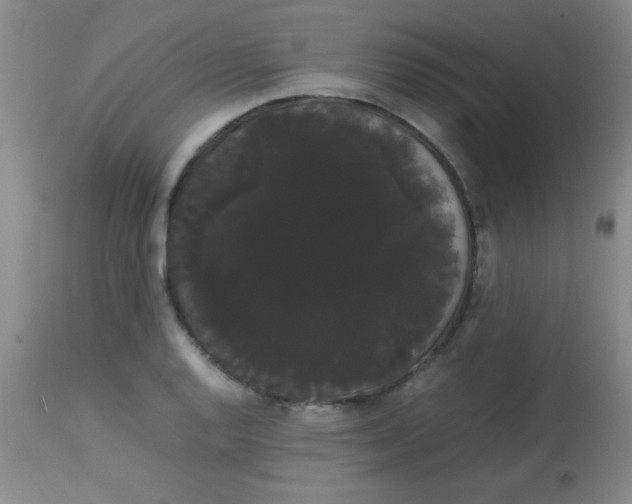 X0000113851128200910151205