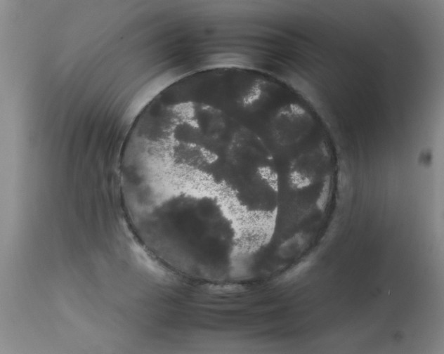 X0000113851129200910151205