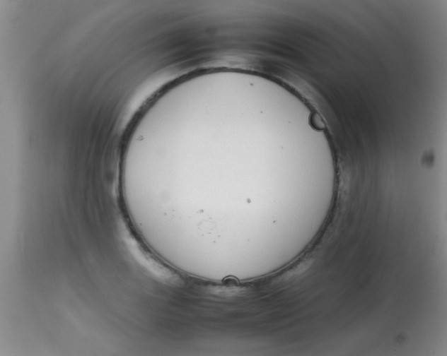 X0000113851131200910151205