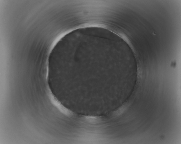 X0000113851132200910151205