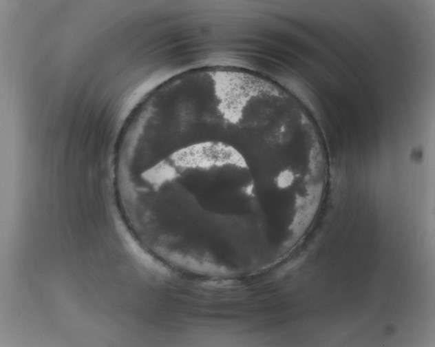 X0000113851133200910151205