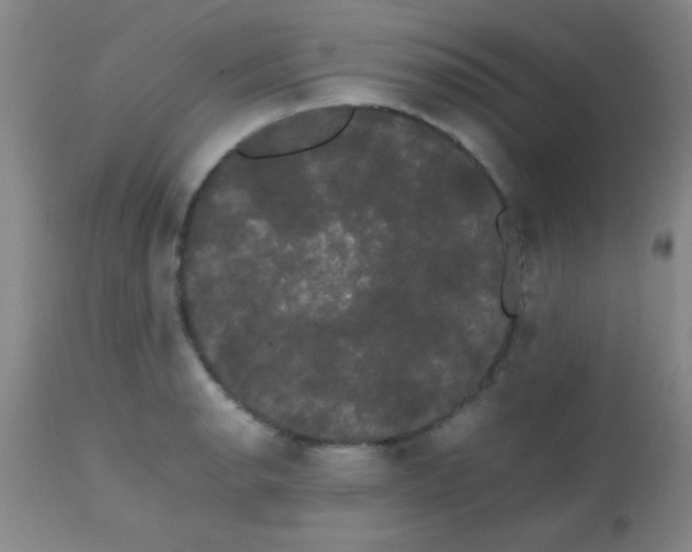 X0000113851134200910151205