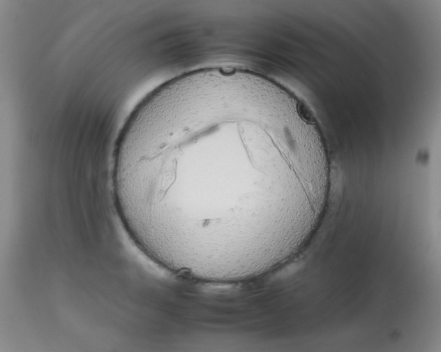 X0000113851135200910151205