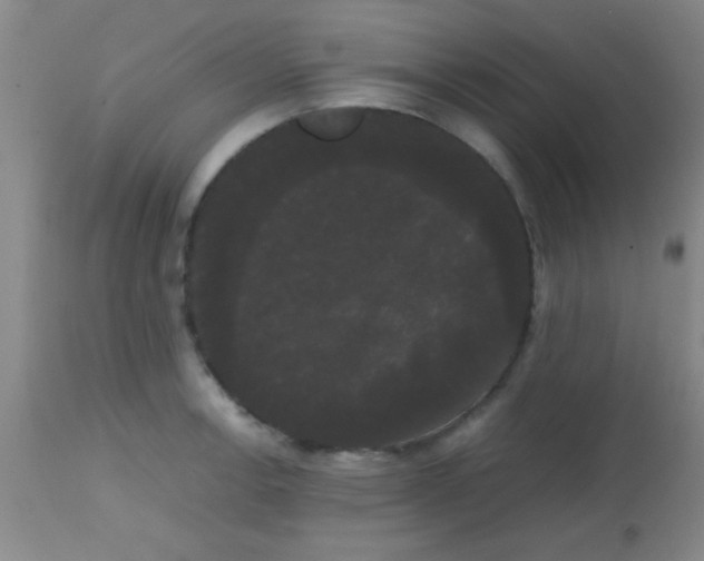 X0000113851138200910151205