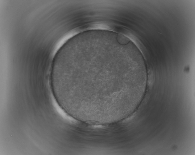 X0000113851139200910151205