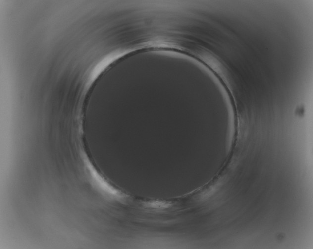 X0000113851141200910151205