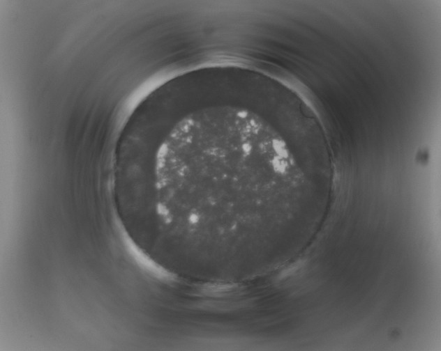 X0000113851143200910151205