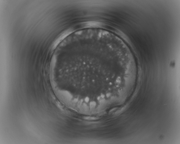 X0000113851145200910151205