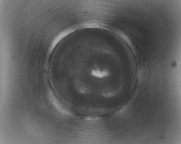 X0000113851146200910151205